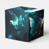 Ballotins Papillons de nuit (Arrière)