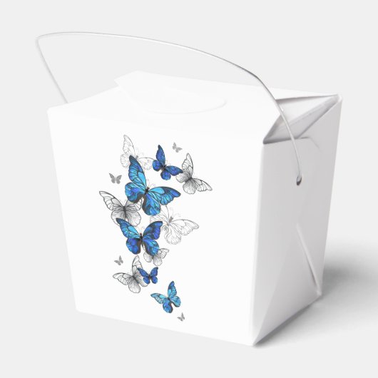 Ballotins Papillons volants bleus Morpho (Arrière)