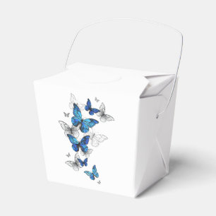 Ballotins Papillons volants bleus Morpho