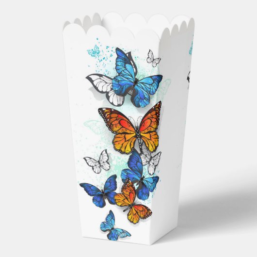 Ballotins Papillons volants Morpho et Monarch (Verso)