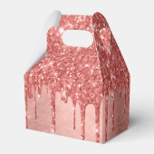 Ballotins Parties scintillant de la broche à goutte | Terra  (Arrière)