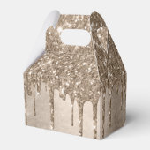 Ballotins Parties scintillant de la méthode de dépouille | R (Arrière)