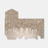 Ballotins Parties scintillant de la méthode de dépouille | R (Déplié)