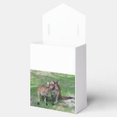 Ballotins Pas maintenant Skippy (Ouvert)