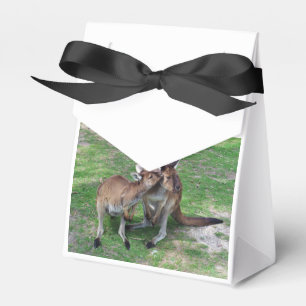 Ballotins Pas maintenant Skippy