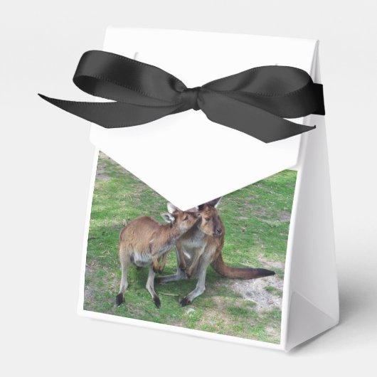 Ballotins Pas maintenant Skippy (Verso)