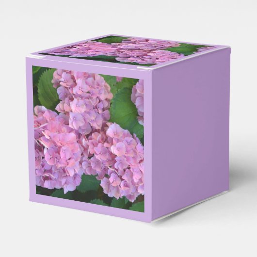 Ballotins Pastel rose Hortensia hydrangea fleurs (Verso)