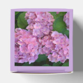Ballotins Pastel rose Hortensia hydrangea fleurs (Haut)