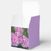 Ballotins Pastel rose Hortensia hydrangea fleurs (Ouvert)