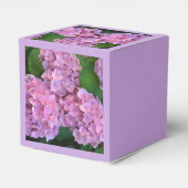 Ballotins Pastel rose Hortensia hydrangea fleurs (Arrière)