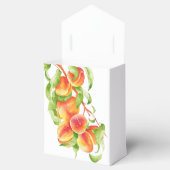 Ballotins 'Peach Paradise' sur un Ballotin (Ouvert)
