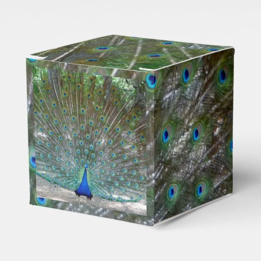 Ballotins Peacock Design Party (Verso)