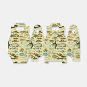 Ballotins Pêche scientifique vintage (Déplié)