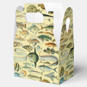 Ballotins Pêche scientifique vintage (Ouvert)