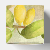 Ballotins Peinture de citrons (Haut)