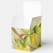 Ballotins Peinture de citrons (Ouvert)