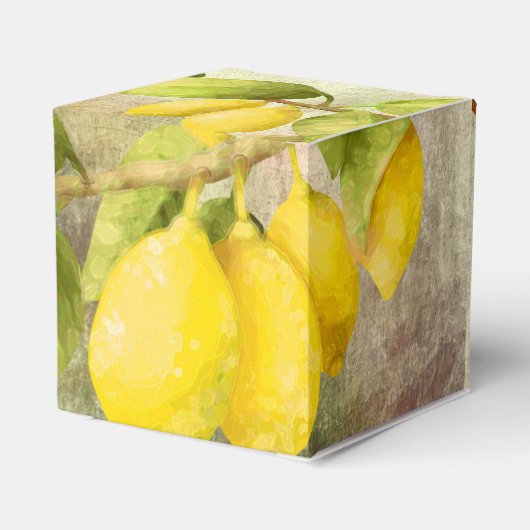 Ballotins Peinture de citrons (Arrière)