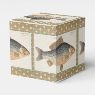 Ballotins peinture de pêche de carpe dessin d'eau douce