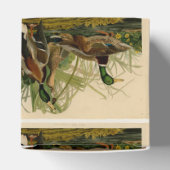 Ballotins Peinture d'oiseaux de Mallard Duck Audubon (Haut)