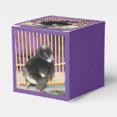 Ballotins Pep (Verso)