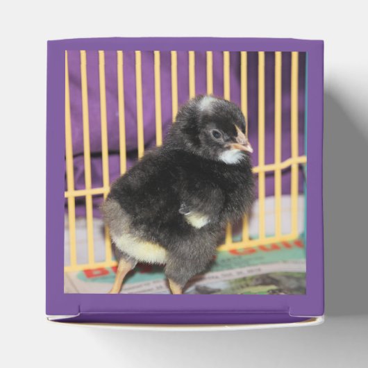 Ballotins Pep (Haut)