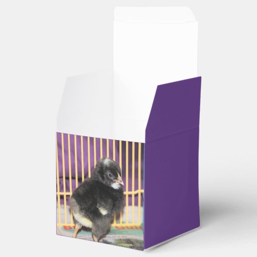 Ballotins Pep (Ouvert)