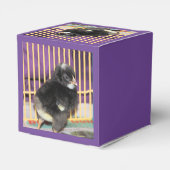 Ballotins Pep (Arrière)