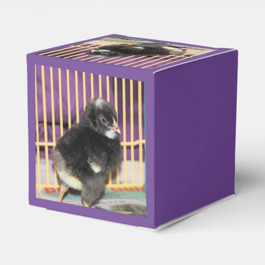 Ballotins Pep (Arrière)