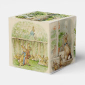 Ballotins Peter le Baby shower du jardin du lapin (Arrière)