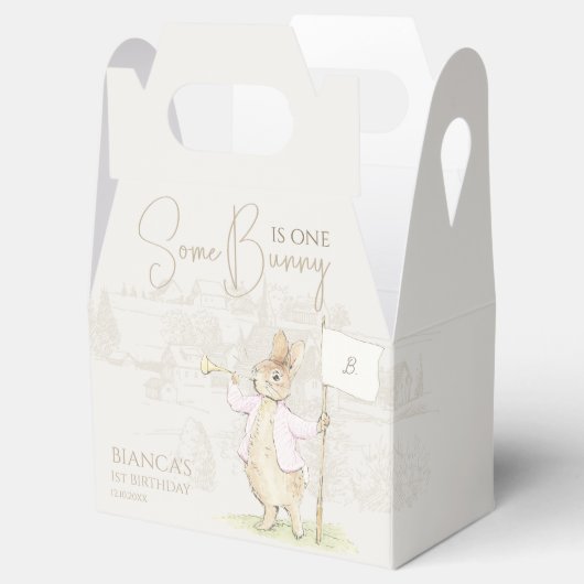 Ballotins Peter le lapin Un Baby shower lapin (Ouvert)