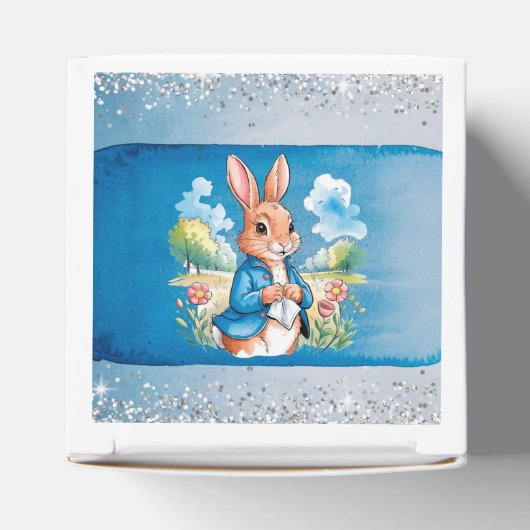 Ballotins Peter Rabbit’s Garden Boy Anniversaire Bash (Haut)