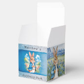 Ballotins Peter Rabbit’s Garden Boy Anniversaire Bash (Ouvert)