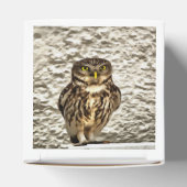 Ballotins Petit Chouette Brown Portrait Artistique (Haut)