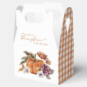 Ballotins Petit Citrouille (Ouvert)