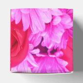 Ballotins Philippines (Haut)