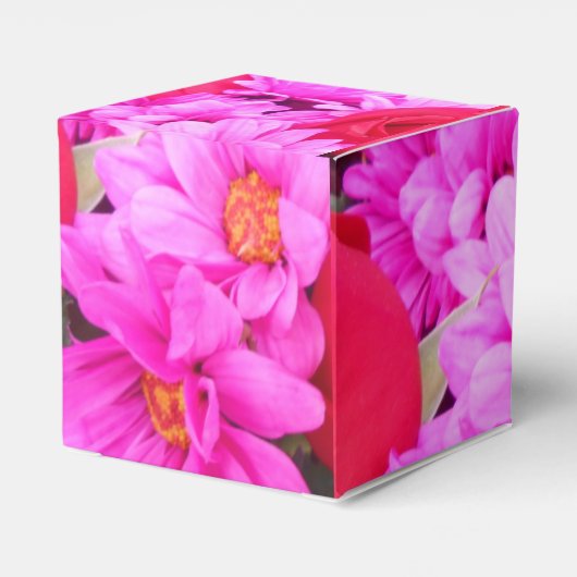 Ballotins Philippines (Arrière)