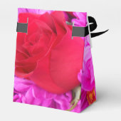 Ballotins Philippines (Arrière)