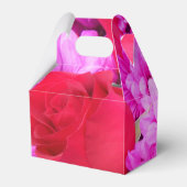 Ballotins Philippines (Arrière)