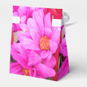 Ballotins Philippines (Arrière)