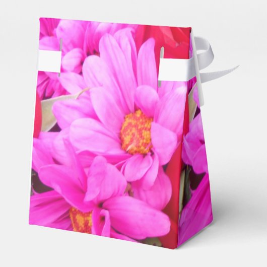 Ballotins Philippines (Arrière)