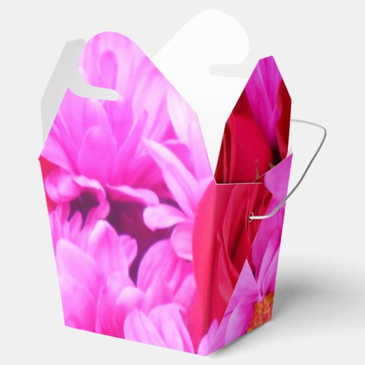 Ballotins Philippines (Ouvert)