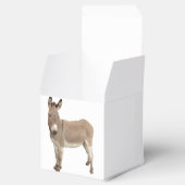 Ballotins Photo de Burro à Donkey Cute (Ouvert)