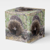 Ballotins Photo native Australian Wild Echidna (Verso)