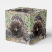 Ballotins Photo native Australian Wild Echidna (Arrière)