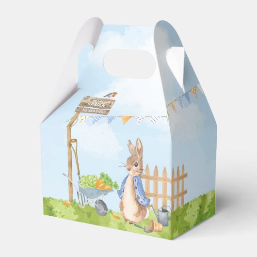 Ballotins Pierre le lapin (Arrière)