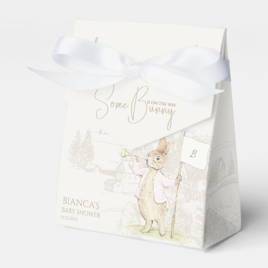 Ballotins Pierre rose le lapin Un Baby shower lapin (Verso)