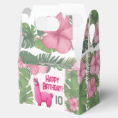 Ballotins Pink Joyeux Lama souriant (Ouvert)