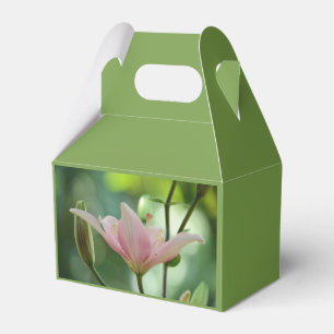 Ballotins Pink Lily par Shirley Taylor