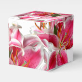 Ballotins Pink Stargazer Lily (Verso)