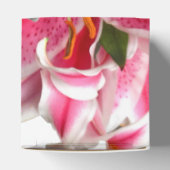 Ballotins Pink Stargazer Lily (Haut)